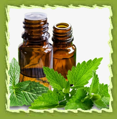 Peppermint oil